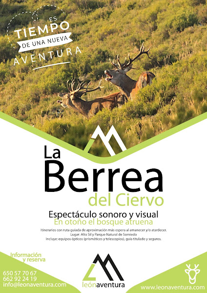 Aventura