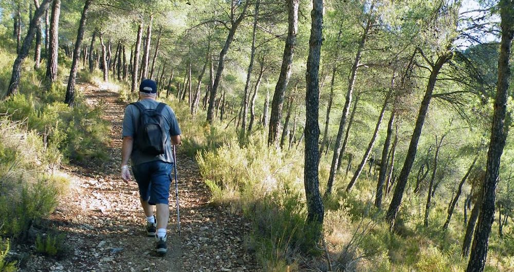 Senderos Naturales Parque